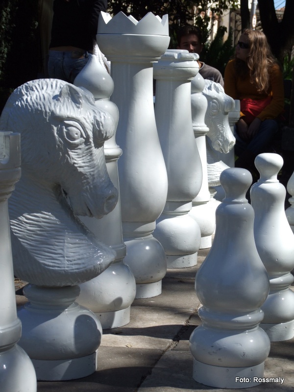 Arquivos xadrez gigante - Notícias de Poços de Caldas e região