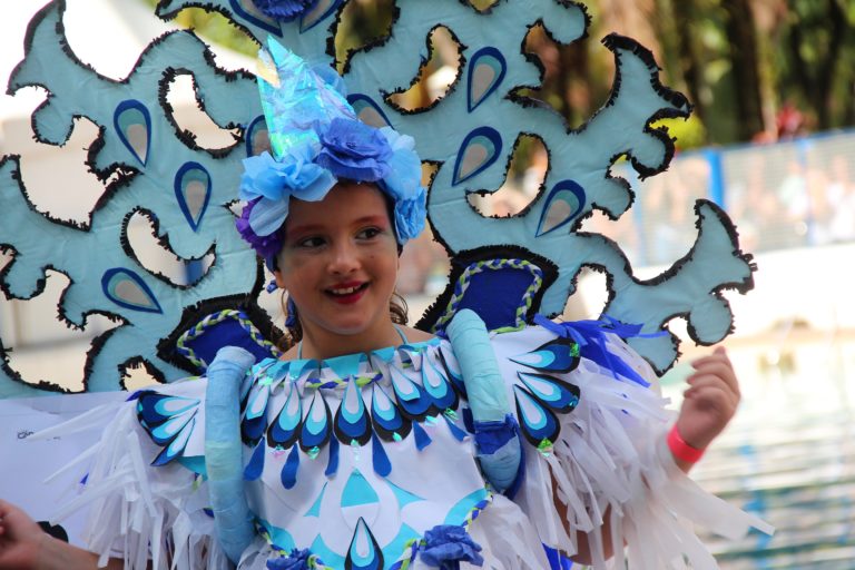 FANTASIAS E FOLIÕES | Confira mais imagens do Carnaval poços-caldense