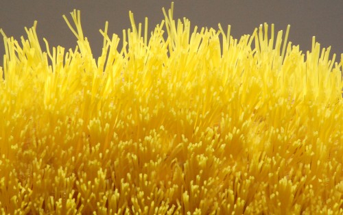 IMS abre exposição com obra de Alberto Zilli