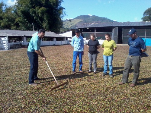 Prefeitura oferece curso a cafeicultores