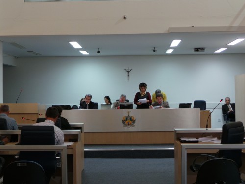 Vereador questiona composição das comissões de sindicância