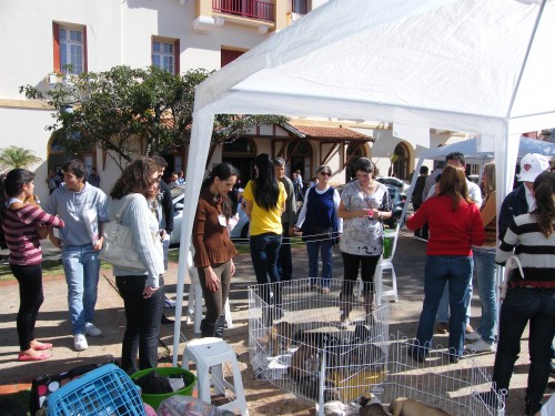 Praça Pedro Sanches recebe feira de doação de animais