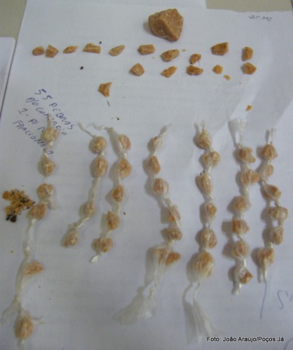 PM apreende 55 pedras de crack