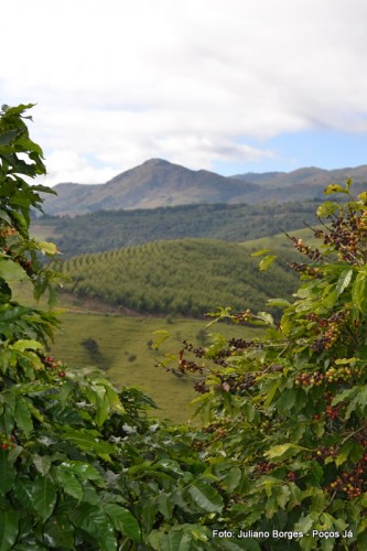 Roteiro turístico rural começa em julho