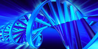 “Receio que o mundo natural esteja ficando naturalmente desnaturado”