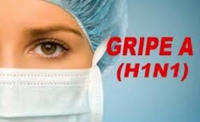 Confirmado primeiro caso de H1N1 em 2013