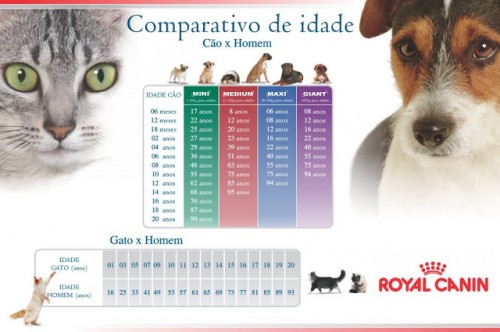 A idade real dos pets