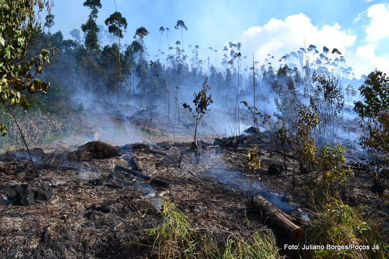Incêndio destrói área de 50 mil metros quadrados