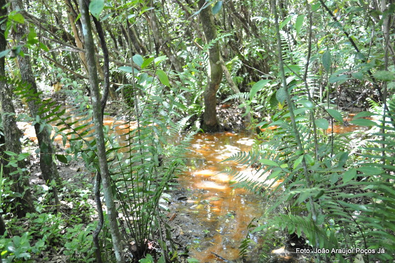 Assoreamento de ribeirão preocupa moradores do Country Club