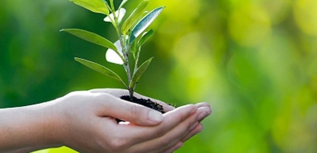 DMAE Lança Projeto “Nasce Uma Esperança”