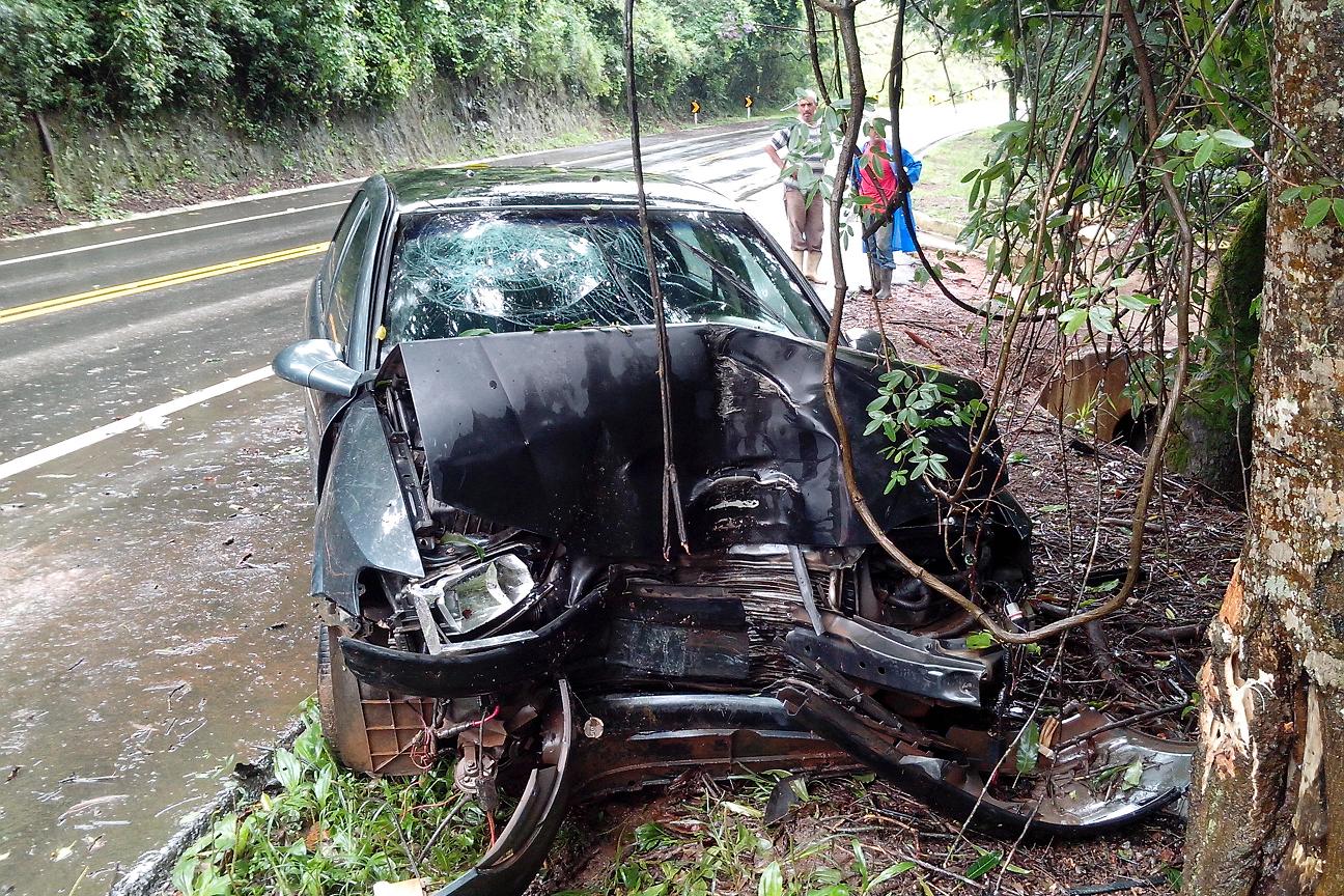 Carro bate em árvore na BR-459
