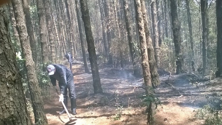 Bombeiros combatem novo incêndio na Serra de São Domingos