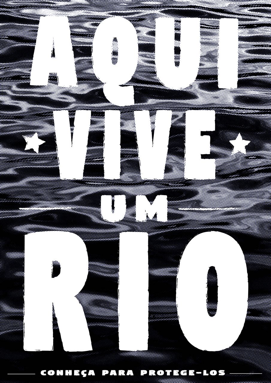 Intervenção artística relembra enchente ocorrida em Poços há um ano