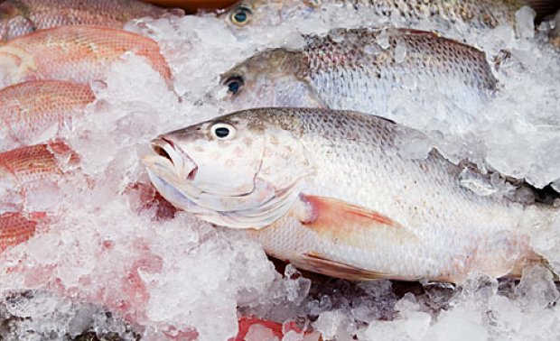 Procon divulga pesquisa de preços de peixes