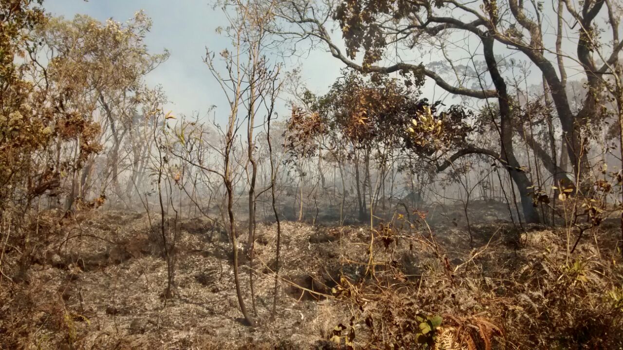 Chamas atingem vegetação na Serra do Selado
