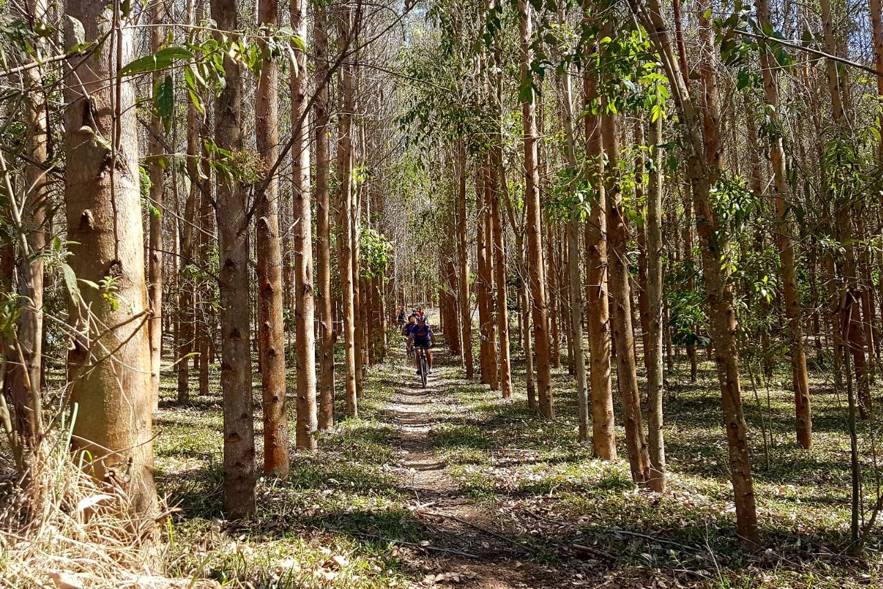 Desafio 4×4 & Bike traz paisagens inéditas