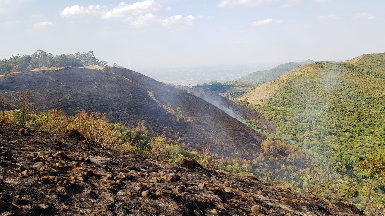 Incêndios destruíram área de aproximadamente 120 campos de futebol