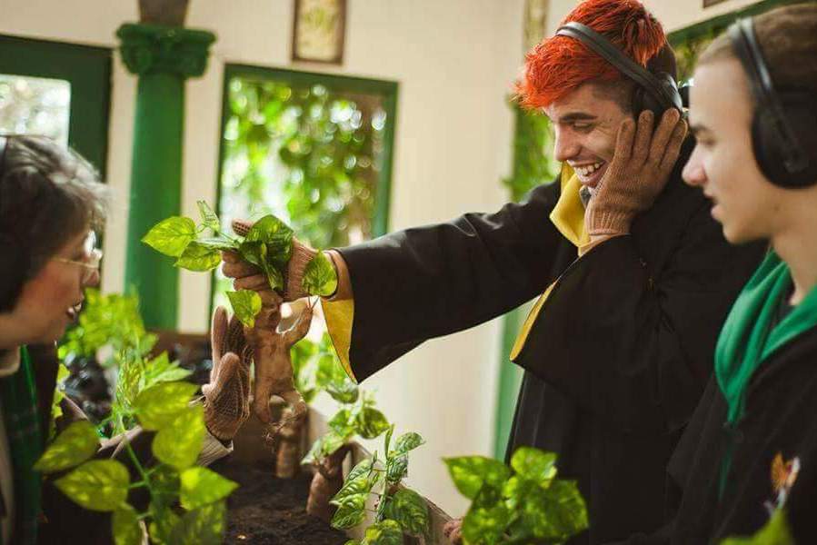 HARRY POTTER | Convenção Mágica acontece no Walter World