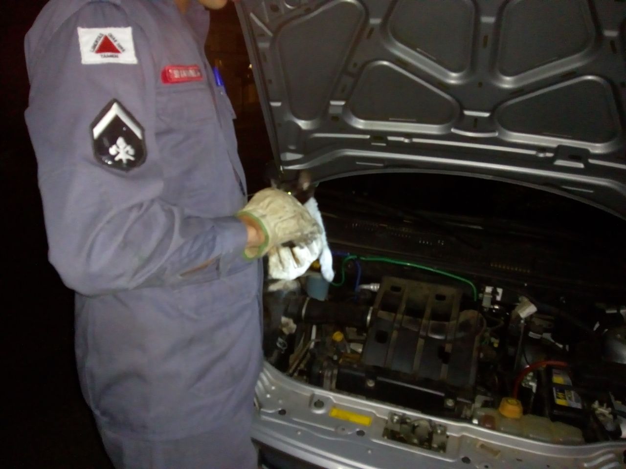 Bombeiros resgatam gato em motor de carro