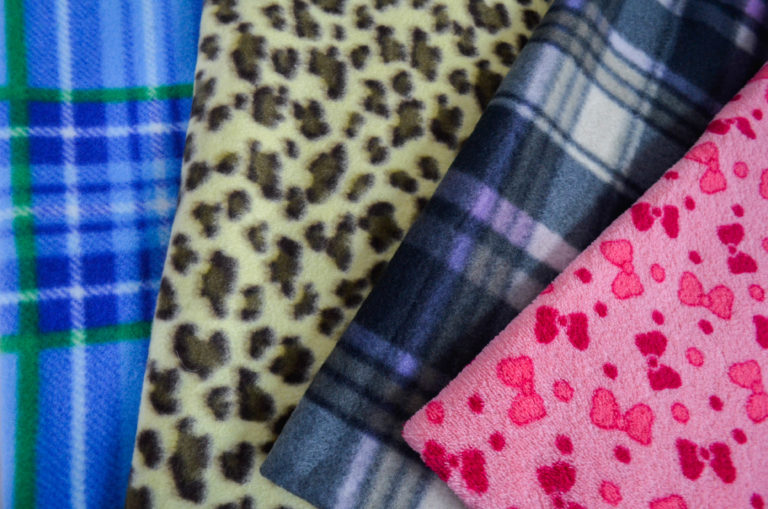 PETS | Seja para proteger do frio ou viajar, mês de julho requer cuidados