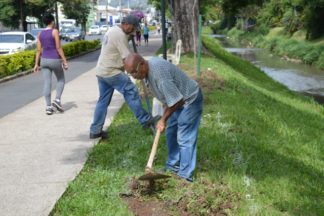 Avenida João Pinheiro terá novo projeto paisagístico até o fim do ano
