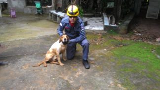 Bombeiros resgatam cão preso em portão