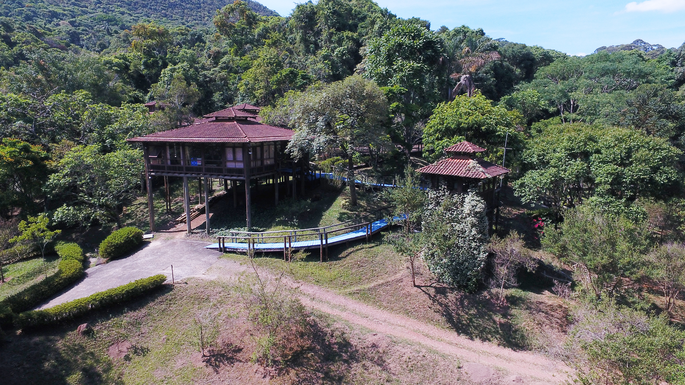 Alcoa retoma Programa Cultivando a Mata Atlântica