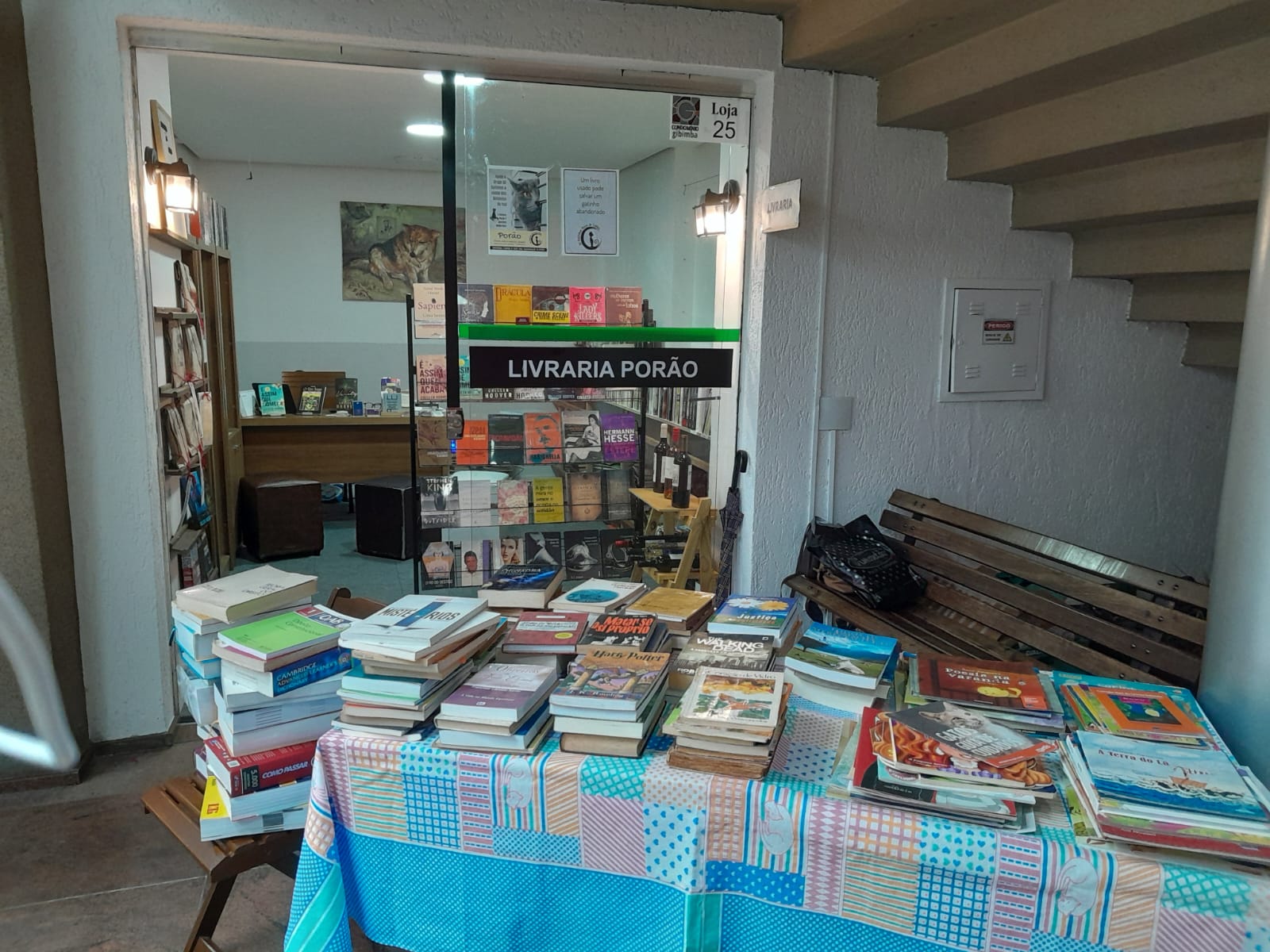 Grupo Só Gatinhos realiza feira beneficente de livros