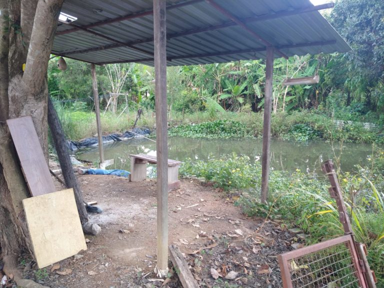 Ajudante de pedreiro morre afogado em lago na zona sul