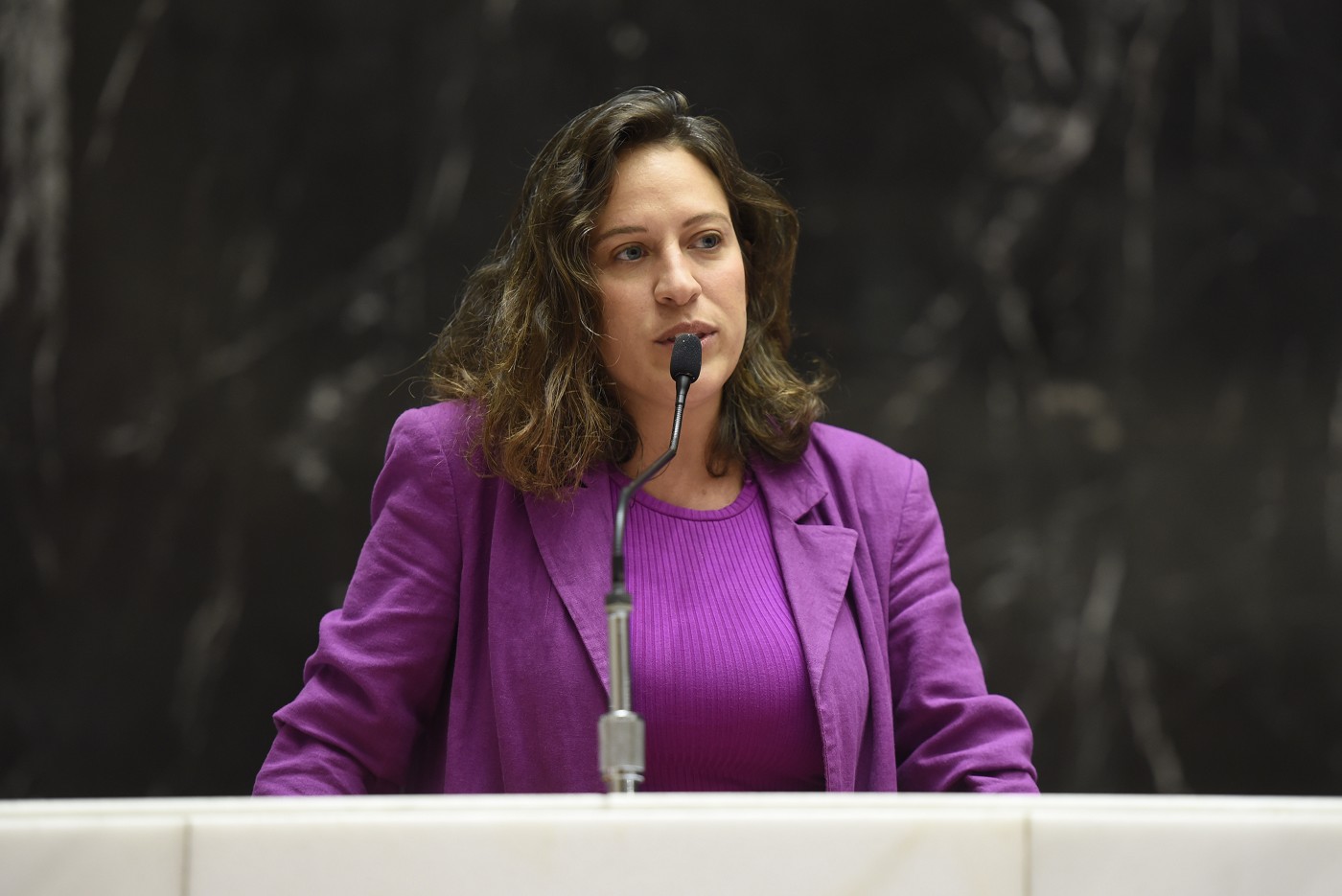 Plenário da Assembleia mineira será presidido apenas por mulheres em março