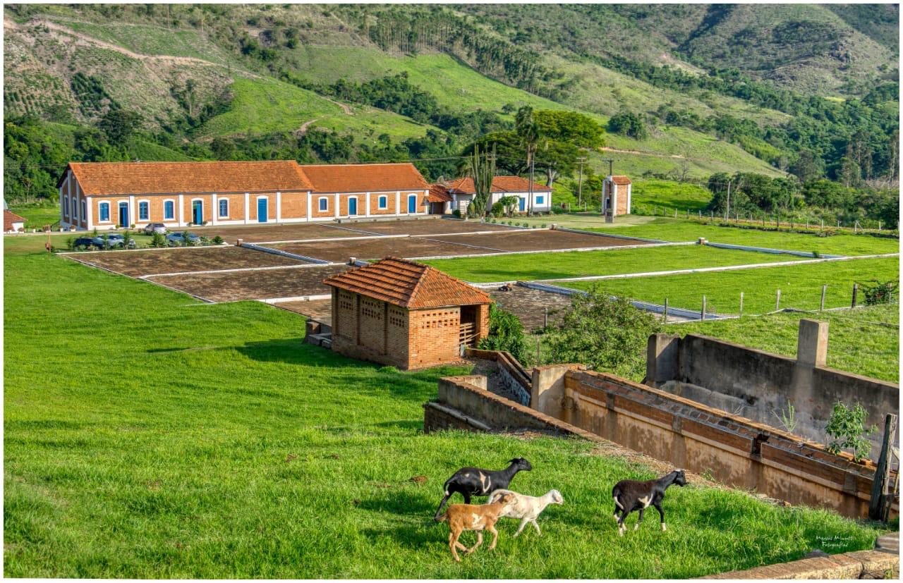 Mulheres da região vulcânica se reúnem para debater o futuro da cafeicultura