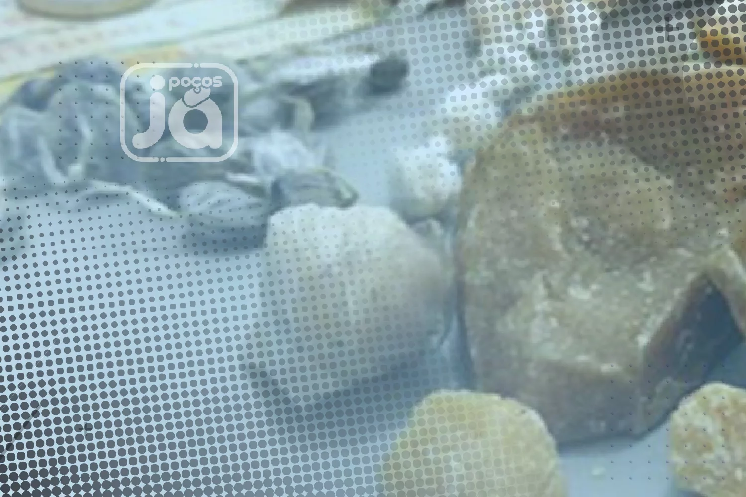 Dupla é presa por tráfico após disparo de arma de fogo