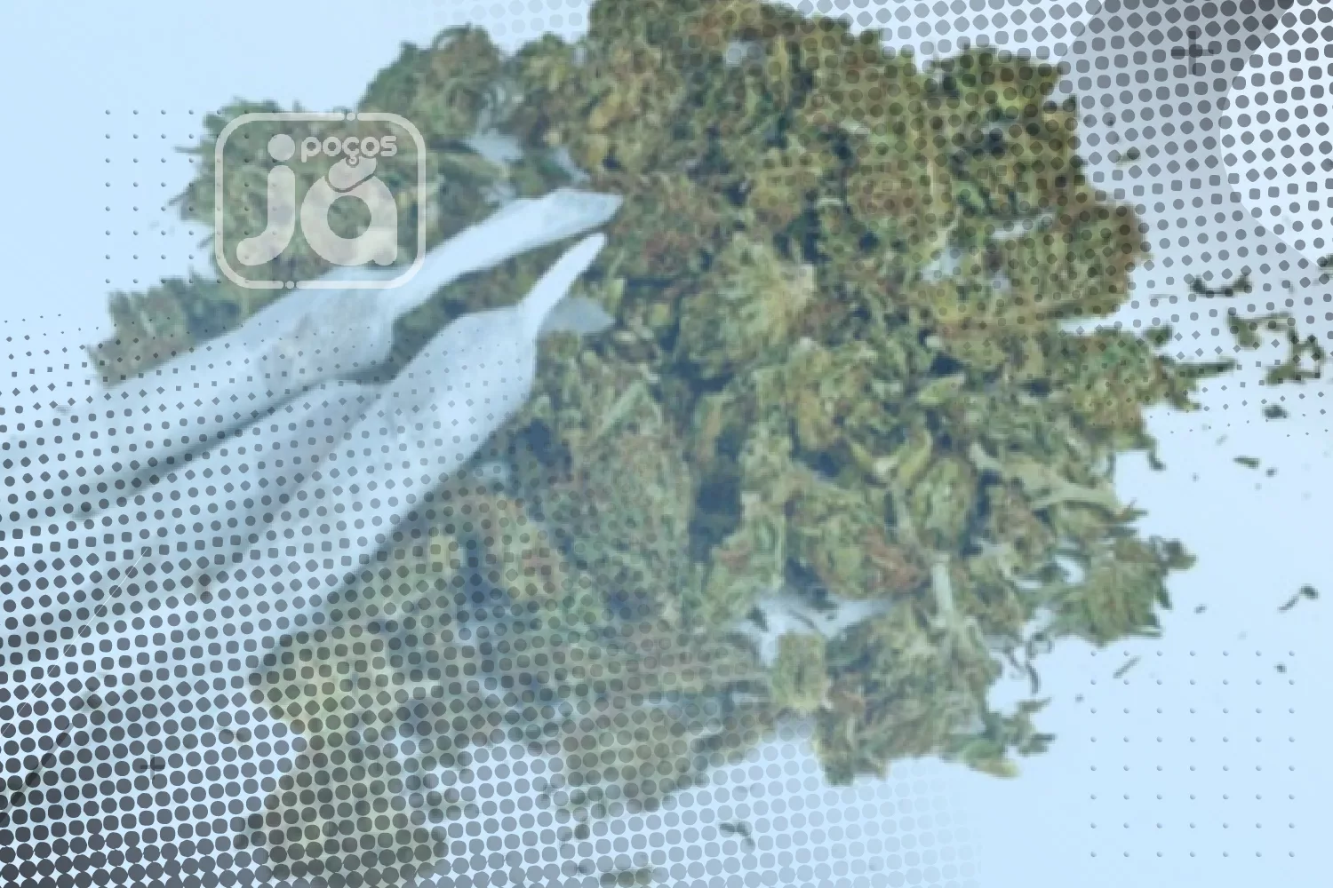 STF deve julgar descriminalização do porte de drogas no próximo ano