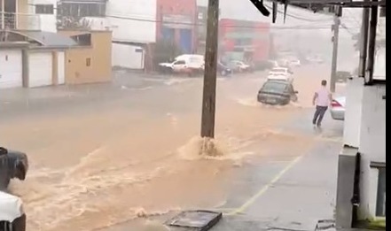 VÍDEOS | Chuva intensa causa alagamentos e queda de árvores