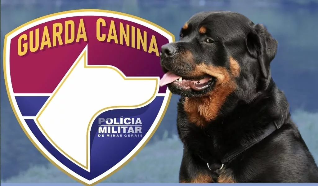 Treinamento para cães de guarda é oferecido de forma gratuita em Poços