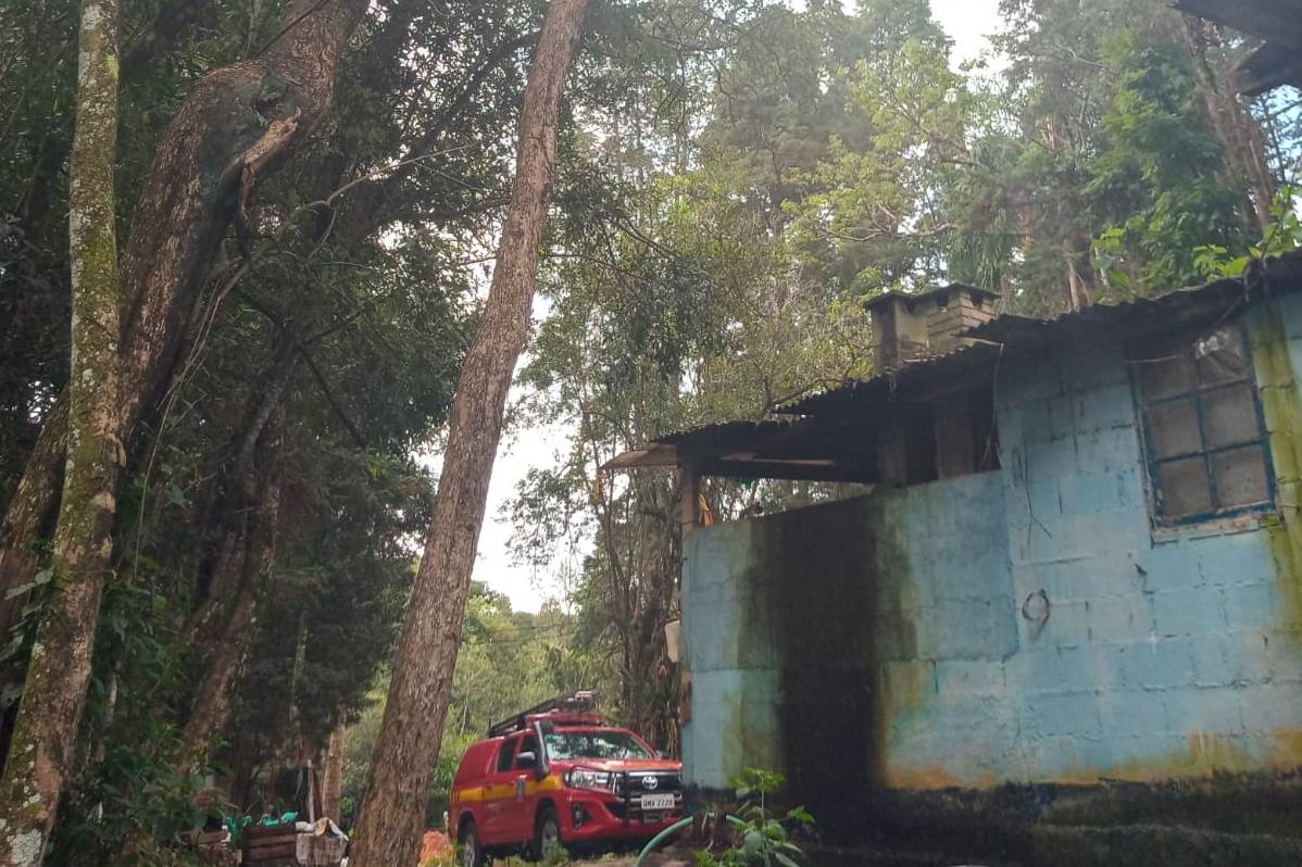 Bombeiros cortam árvores que ameaçavam casa de senhora acamada