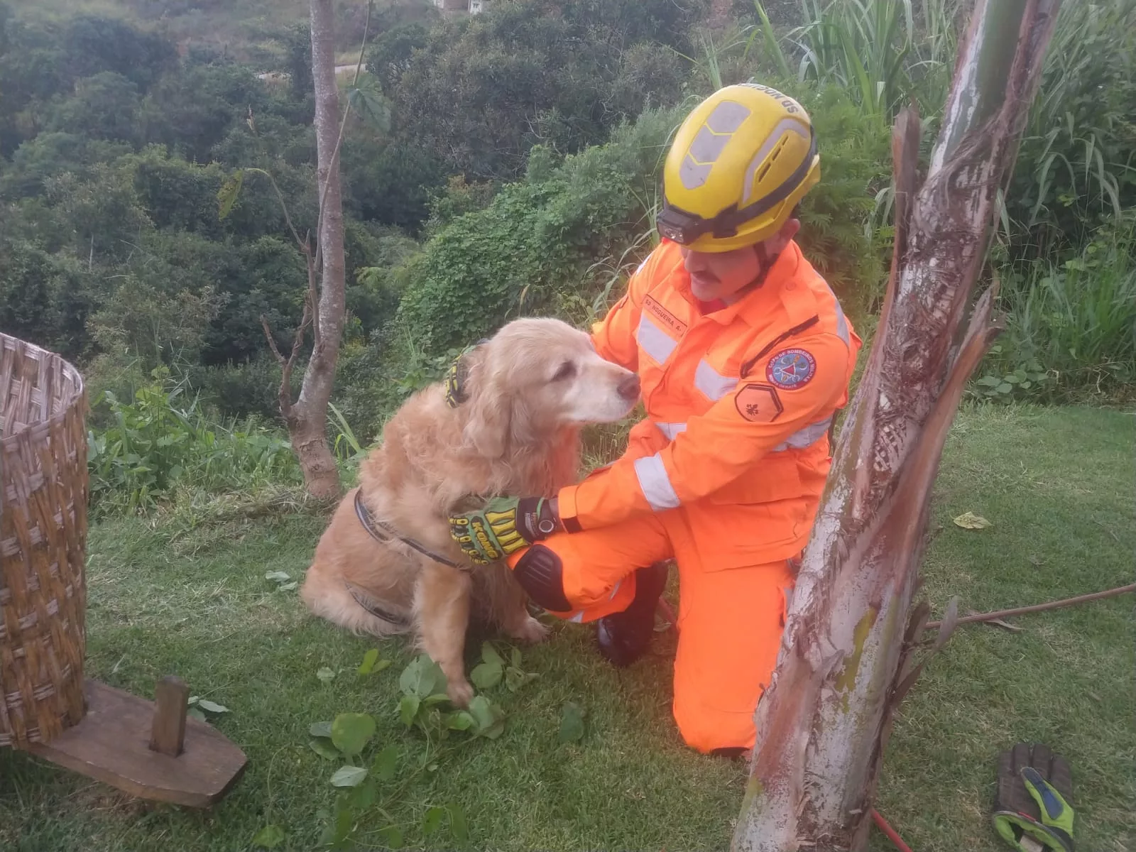 Bombeiros resgatam cachorro que caiu em talude