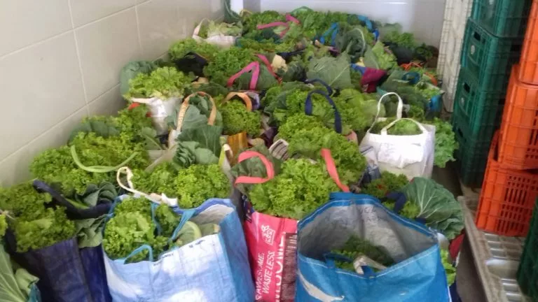 Iniciativa conjunta de segurança alimentar de Poços está entre as 30 melhores do país