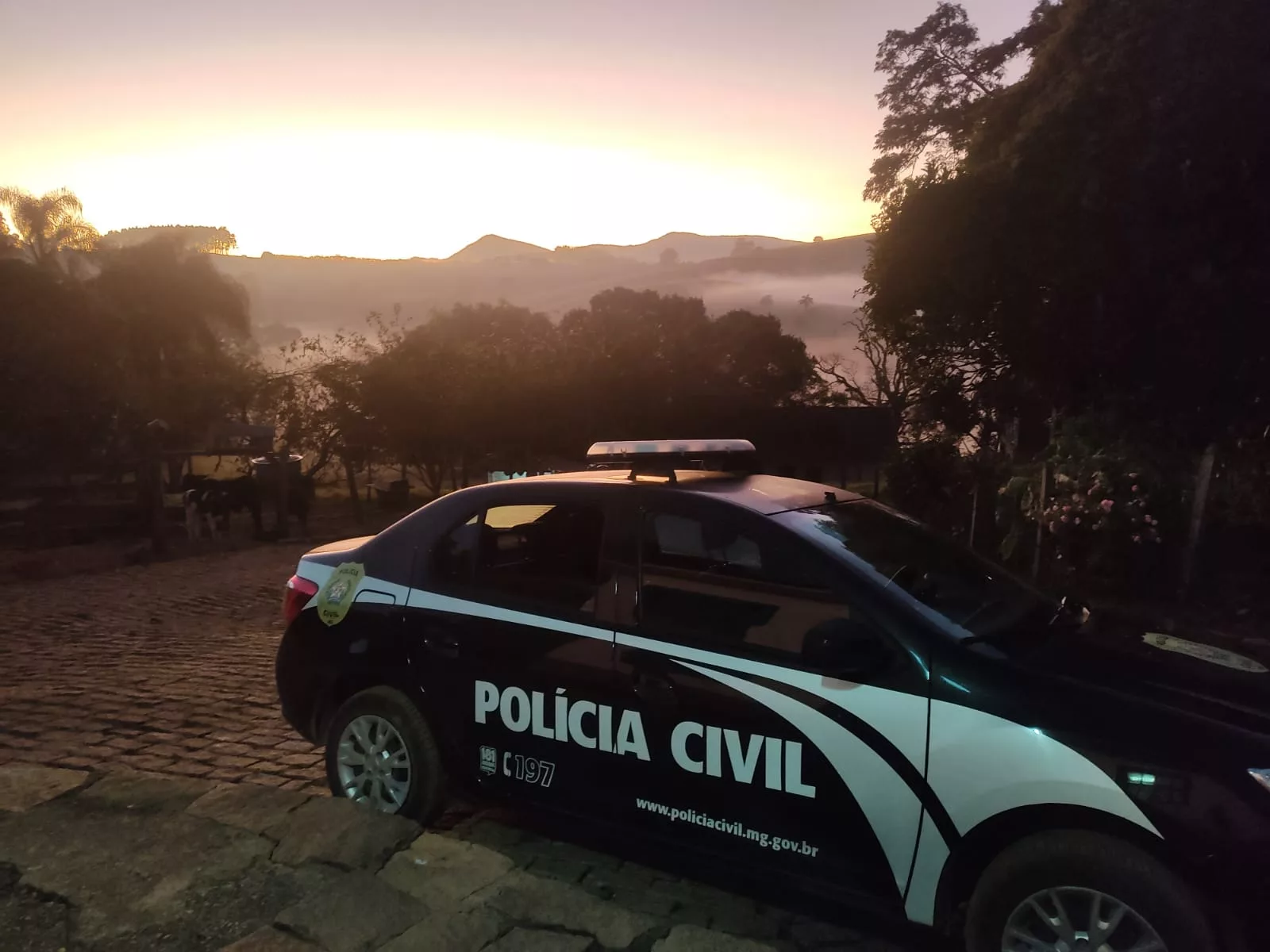 Armas são apreendidas após denúncias de ameaças contra pessoas e animais