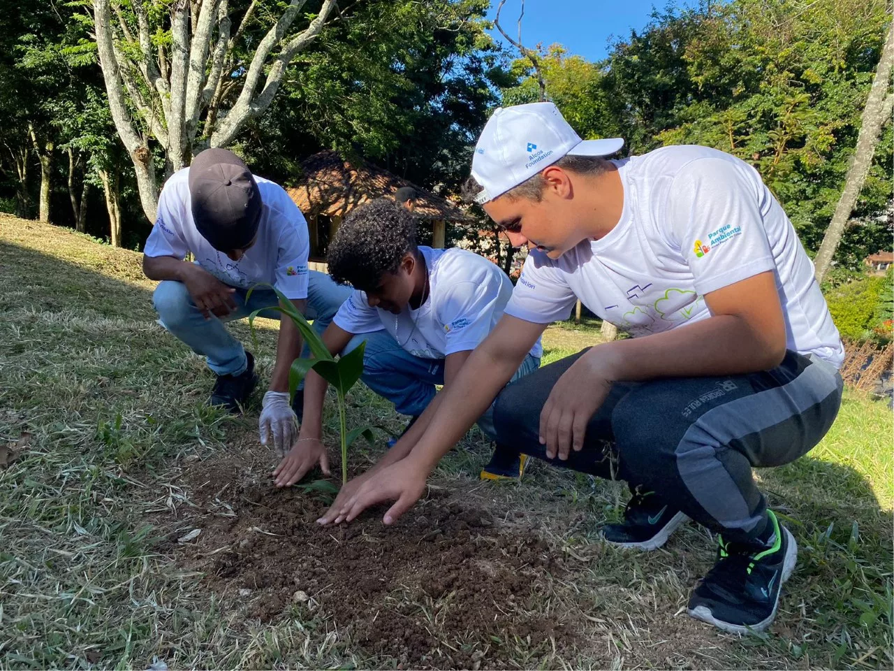 APS e Alcoa inauguram mais uma Floresta de Bolso em Poços   