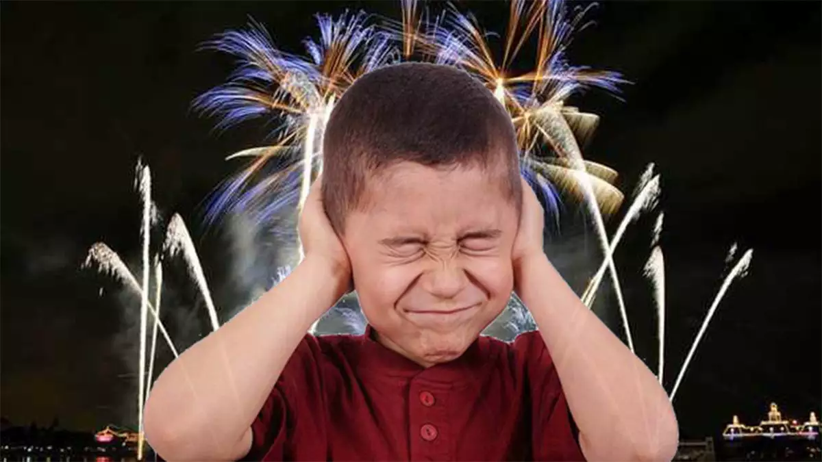 Vereador pede proibição de fogos de artifícios convencionais no município