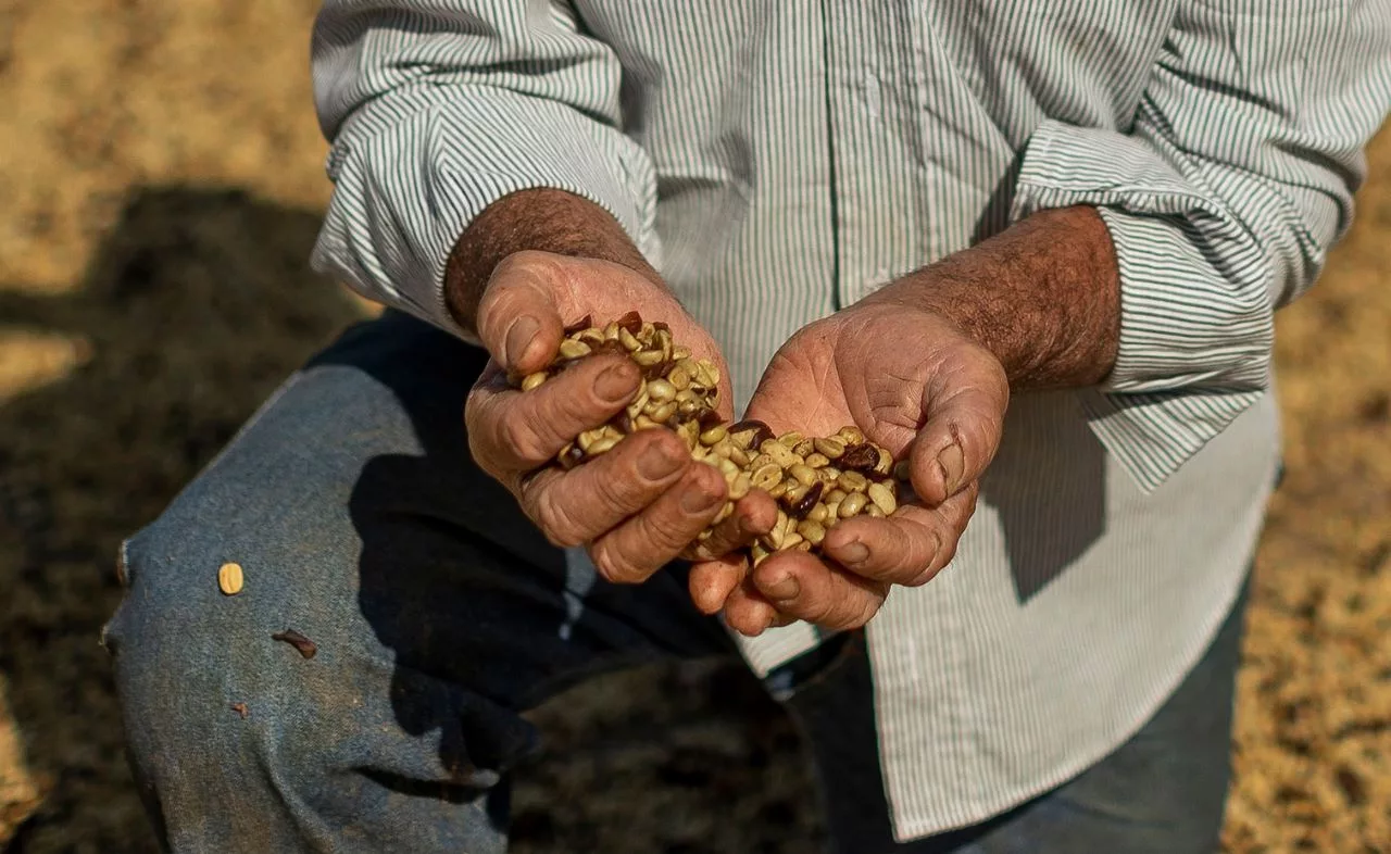 Associação dos Produtores do Café da Região Vulcânica é declarada de utilidade pública