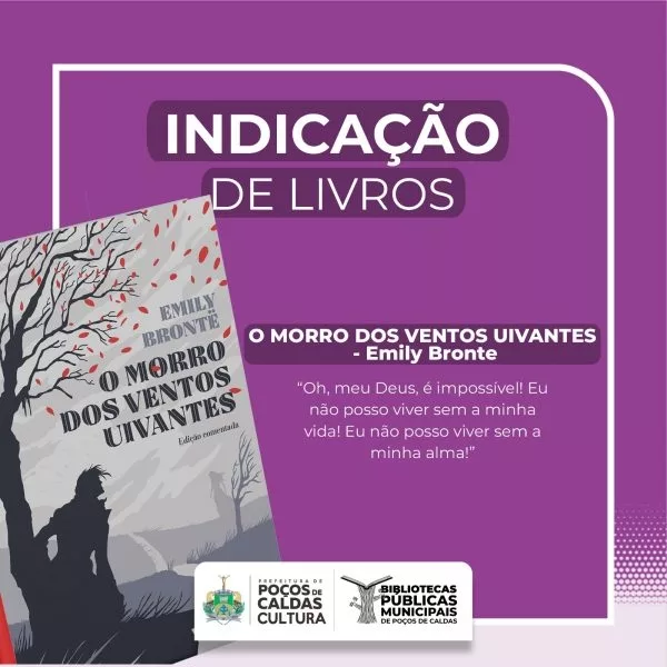 “O Morro dos Ventos Uivantes”: sugestão de leitura intensa e poética das bibliotecas públicas