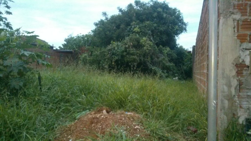 Secretaria autua mais de 200 terrenos sem limpeza em Poços