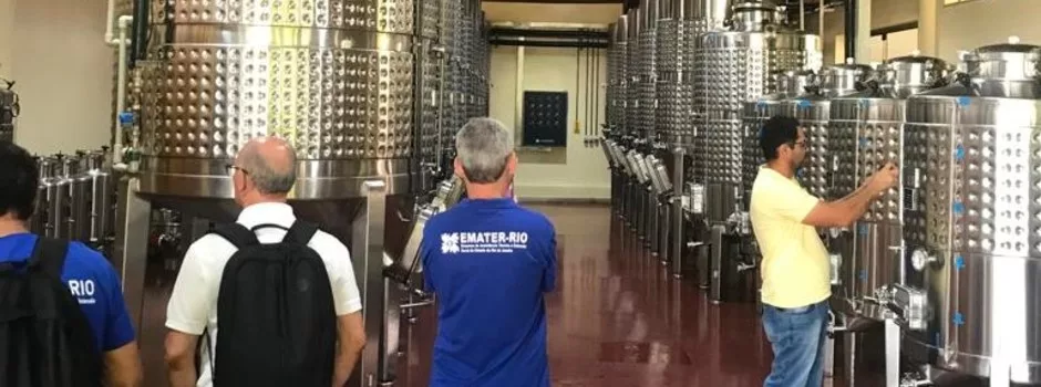 Técnicos da Emater RJ visitam produção vinícola de Caldas