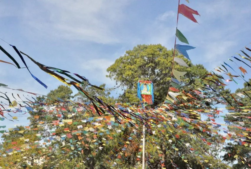 “Arraiá de Poços” atrai mais de 50 mil pessoas em 4 dias de festa