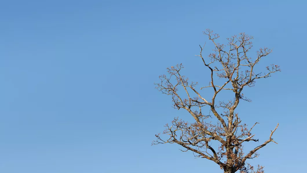 Sul de Minas segue sem chuva e com baixas temperaturas