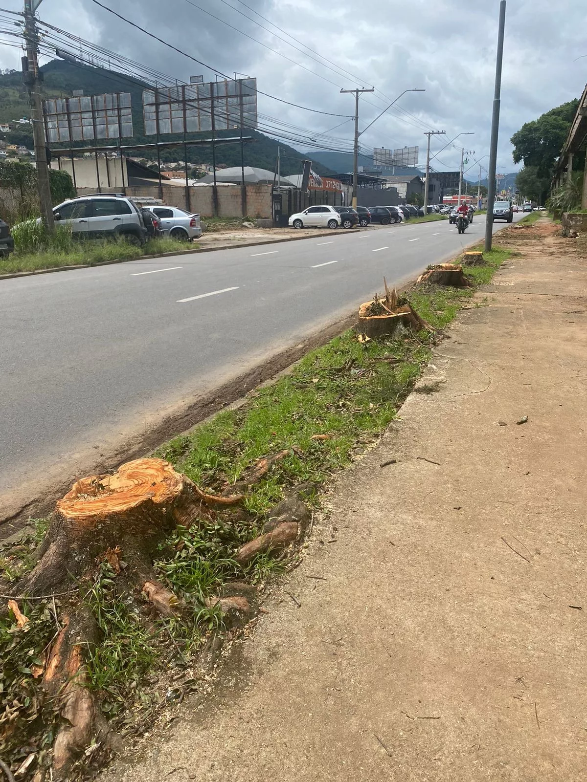 Grupo “Poços com árvores” convoca manifestação na porta da prefeitura