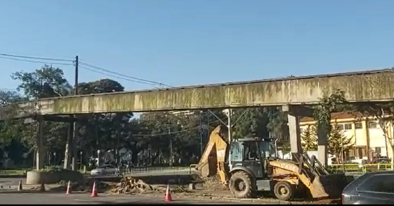 Câmara convoca secretário e engenheiro para falar sobre cortes de árvores