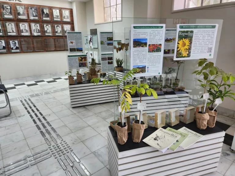Exposição apresenta trabalho da Fundação Jardim Botânico